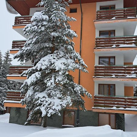 Apartman Palenica II タトランスカー・シュトゥルバ エクステリア 写真